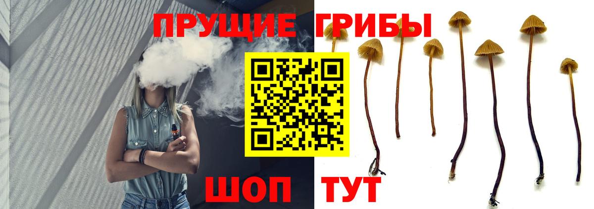 Галлюциногенные грибы Psilocybe  Галлюциногенные грибы Psilocybe  Назарово  Вход с VPN 